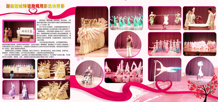 湖南人生就是博官网赞助燕赵·恒爱残疾人艺术团圆满演出